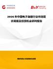 2026年中國電子血糖行業市場現狀調查及投資機會研判報告