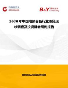 2026年中國電熱臺板行業市場現狀調查及投資機會研判報告