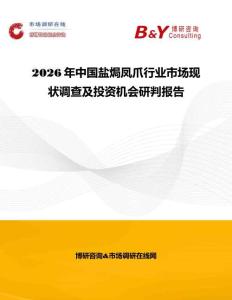 2026年中国盐焗凤爪行业市场现状调查及投资机会研判报告