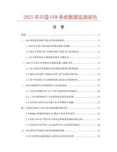 2025年中國GSM系統數據監測報告