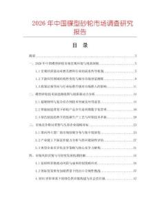 2026年中國碟型砂輪市場調(diào)查研究報(bào)告