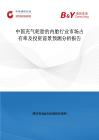 中國充氣輪胎的內胎行業市場占有率及投資前景預測分析報告
