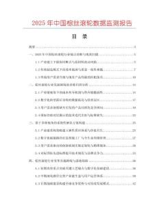 2025年中國棕絲滾輪數(shù)據(jù)監(jiān)測報告