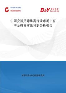 中國安排足球比賽行業市場占有率及投資前景預測分析報告