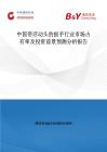 中國帶活動頭的扳手行業市場占有率及投資前景預測分析報告
