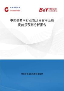 中國捕夢網行業市場占有率及投資前景預測分析報告