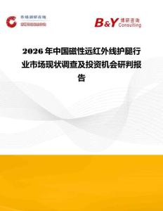 2026年中国磁性远红外线护腿行业市场现状调查及投资机会研判报告
