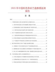 2025年中國彩色條紋方盤數據監測報告