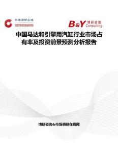 中国马达和引擎用汽缸行业市场占有率及投资前景预测分析报告