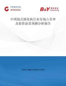 中國鼓式熔化機行業(yè)市場占有率及投資前景預測分析報告