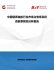 中国瓷质袖扣行业市场占有率及投资前景预测分析报告
