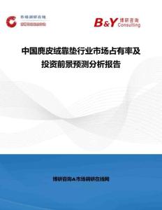 中國麂皮絨靠墊行業市場占有率及投資前景預測分析報告