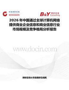 2026年中國通過全球計算機網絡提供商業企業信息和商業信息行業市場規模及競爭格局分析報告