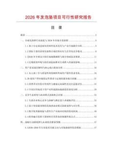 2026年發(fā)泡墊項(xiàng)目可行性研究報(bào)告