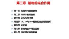 高中生物精品課件：植物光合作用1