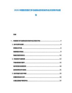 2026中国智慧路灯多功能集成系统城市试点效果评估报告