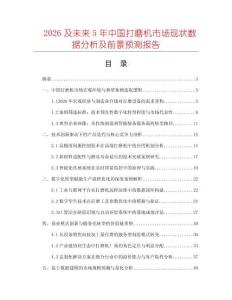 2026及未來5年中國打磨機(jī)市場現(xiàn)狀數(shù)據(jù)分析及前景預(yù)測報告