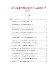 2026年中國棒球球芯市場調查研究報告