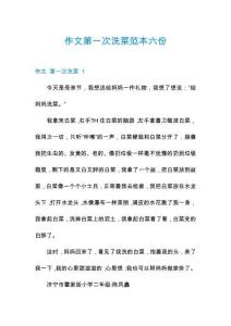 作文第一次洗菜范本六份