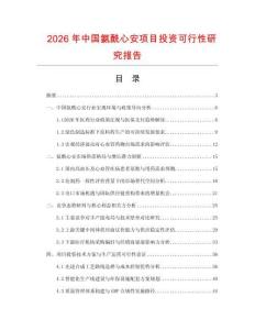 2026年中國氨酰心安項目投資可行性研究報告