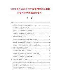 2026年及未來5年中國搖擺哨市場數據分析及競爭策略研究報告