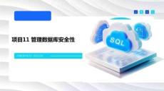 數(shù)據(jù)庫(kù)技術(shù)與應(yīng)用（SQL Server）課件   項(xiàng)目11 管理數(shù)據(jù)庫(kù)安全性