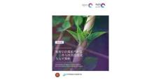 博眾智合：轉型中的煤炭產業鏈：山西與陜西的挑戰與應對策略