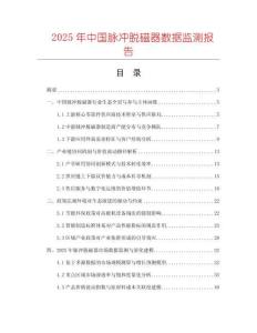 2025年中國脈沖脫磁器數據監測報告