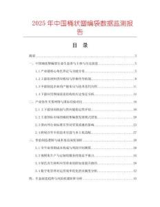 2025年中國桶狀塑編袋數據監測報告