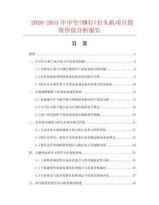 2026-2031年中空(鉚釘)打頭機項目投資價值分析報告