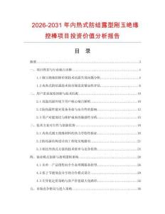 2026-2031年內(nèi)熱式防結(jié)露型剛玉絕緣控棒項(xiàng)目投資價(jià)值分析報(bào)告
