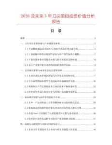 2026及未來5年刀尖項目投資價值分析報告