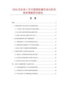 2026及未來5年中國(guó)角鐵撐市場(chǎng)分析及競(jìng)爭(zhēng)策略研究報(bào)告