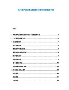 高科技產業資本運作效率與成本控制指南手冊