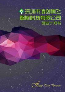 深圳市凌創騰飛智能科技有限公司商業計劃書