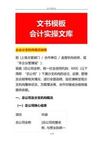 企业分支机构情况说明