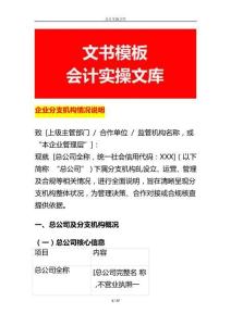 企业分支机构情况说明