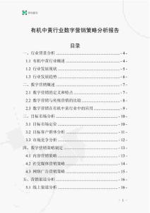 有機中黃行業(yè)數(shù)字營銷策略分析報告