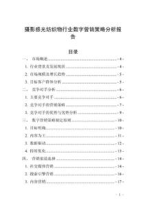 攝影感光紡織物行業數字營銷策略分析報告
