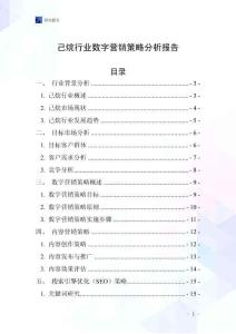 己烷行業數字營銷策略分析報告