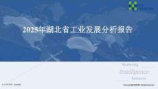 2025年湖北省工業發展分析報告-MIR睿工業