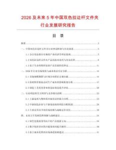 2026及未來5年中國雙色拉邊桿文件夾行業發展研究報告