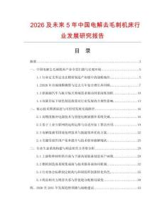 2026及未來5年中國(guó)電解去毛刺機(jī)床行業(yè)發(fā)展研究報(bào)告