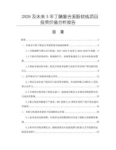 2026及未來5年丁腈復合多股軟線項目投資價值分析報告