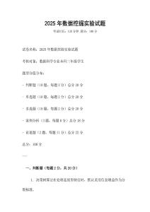 2025年數據挖掘實驗試題