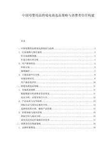 中國母嬰用品跨境電商選品策略與消費者信任構建