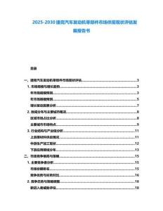 2025-2030捷克汽車發動機零部件市場供需現狀評估發展報告書