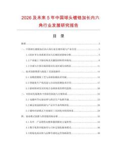 2026及未來5年中國球頭鍍鉻加長內(nèi)六角行業(yè)發(fā)展研究報(bào)告