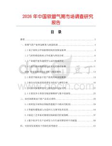 2026年中國軟塑氣筒市場調(diào)查研究報(bào)告