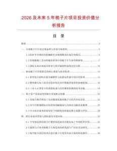 2026及未來5年梳子片項(xiàng)目投資價(jià)值分析報(bào)告